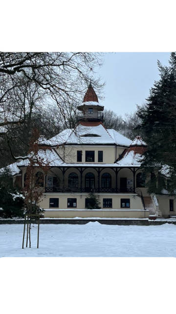 Zespół bluesowy traf gra koncert w Podkowie Leśnej